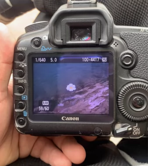 出售5d2加永诺小痰盂镜头新买的因买来没时...