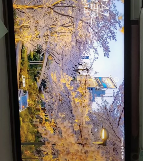 小米平板5,6+128,去年购入,白色,原...