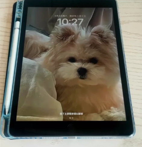 抢到爆用到爽，画画非常niae， 带笔的i...