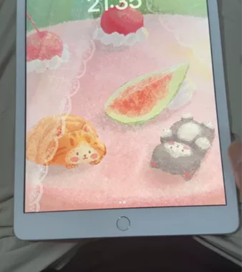 ?原屏小花靓IPad 2019 10.2寸...