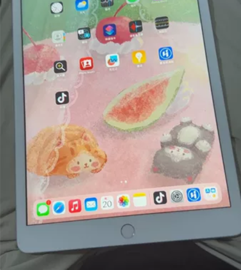 原屏小花靓IPad 2019 10.2寸第...