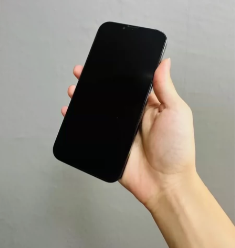 13promax绿色256成色完美 电池9...