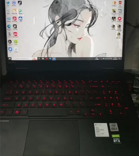 本人自用暗影精灵6游戏本，因特尔i5-10...