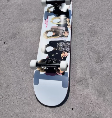 专业滑板套装，进口，全新未使用，法国Ant...