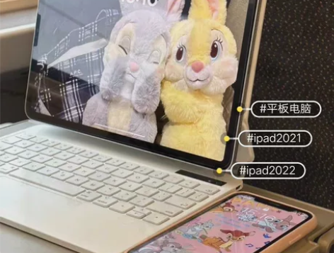 捡漏来，2021款iPad平板wifi版2...