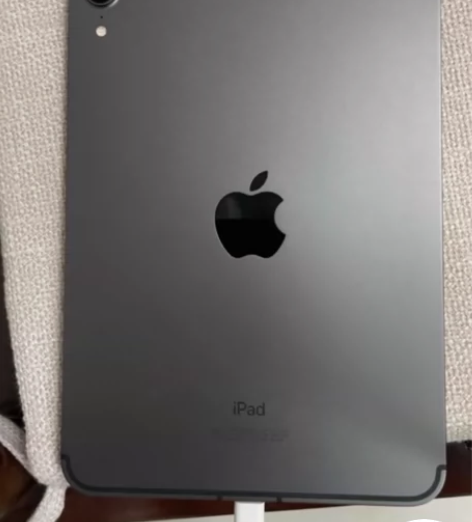 找个有缘人出iPad 2021 款mini...