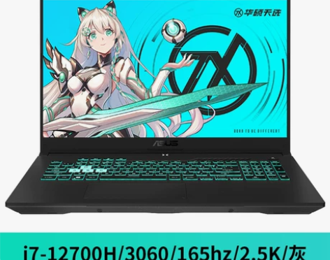 Asus/华硕天选3 Plus 2022 ...