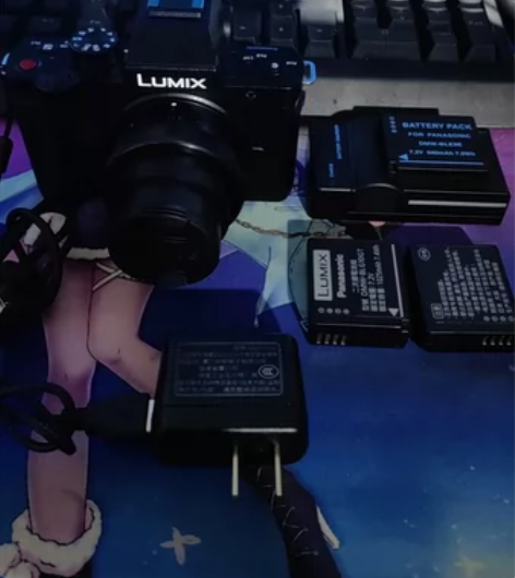 Panasonic松下DC-G100相机带...