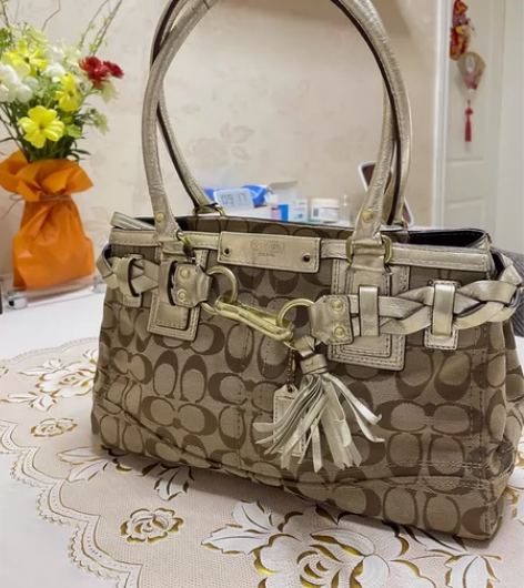 COACH 小号手提包 布面上略有污染污渍...