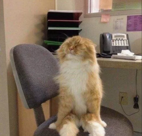 大学期末考试辅导答疑，家教大学研究生，接各...