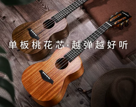 兰可尤克里里女生初学者入门级儿童成人进阶小...