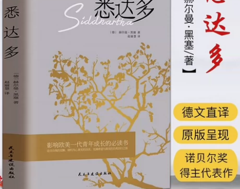 正版 悉达多 抖音同款 正能量说一百句活在...