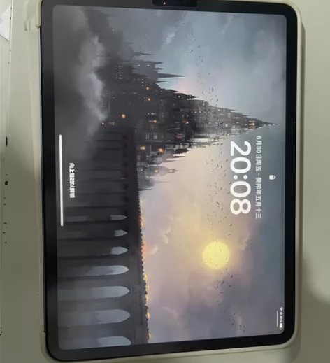 ipad pro 2021 256g版本刚...