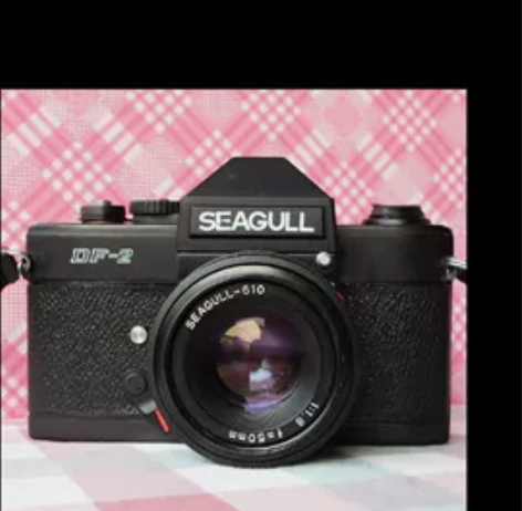 海鸥复古相机 感兴趣的话点“我想要”和我私...