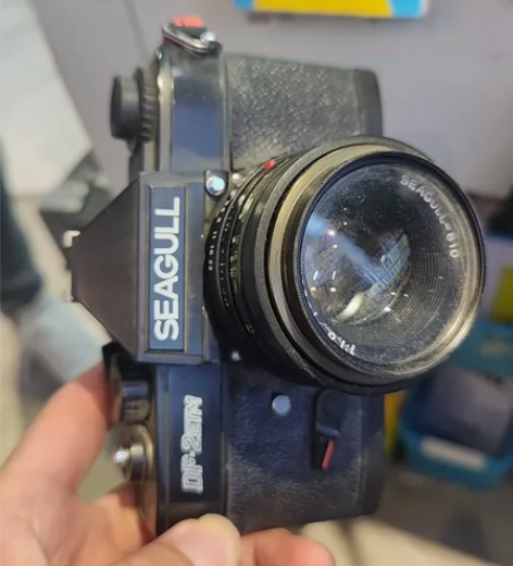 海鸥 感兴趣的话点“我想要”和我私聊吧～海...