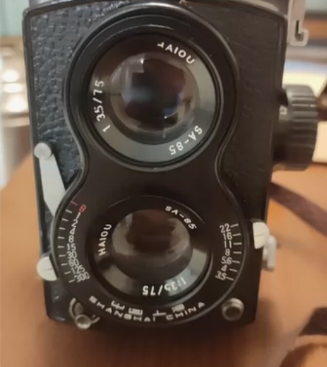 海鸥4A双反相机，成色很新，功能正常，快门...