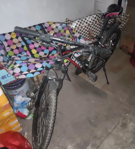 凤凰山地自行车，右边刹车损坏，其他无任何异...