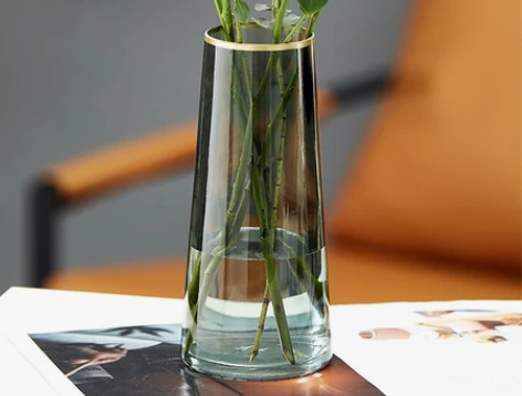 创意花瓶玻璃透明水养客厅摆件鲜花插花瓶北欧...