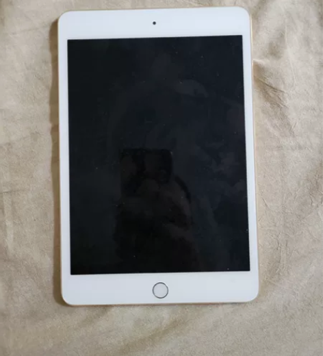 ipad mini4  16G 金色 最好...