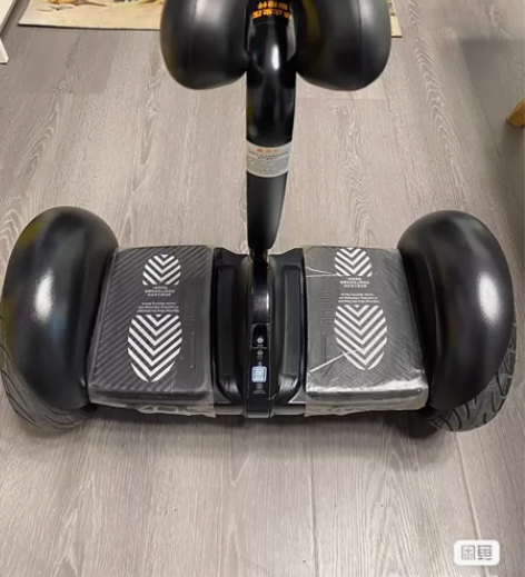 小米9号平衡车，小米实体店1999买的，给...