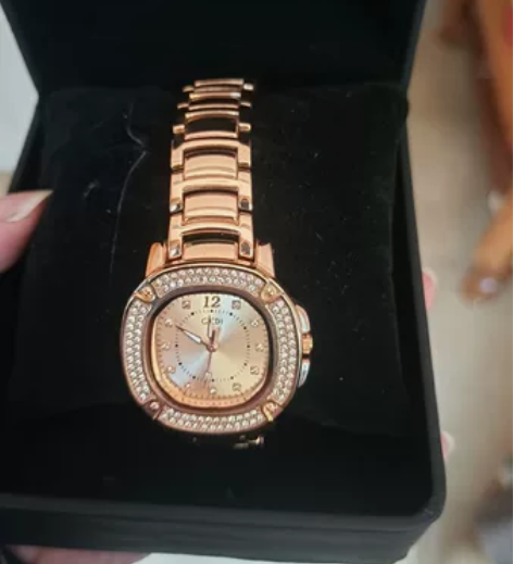 全新!歌迪手表3200腕表女性自动机械 朋...