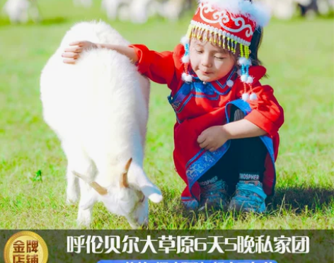 酒店呼伦贝尔旅游内蒙古草原呼伦贝尔海拉尔满...