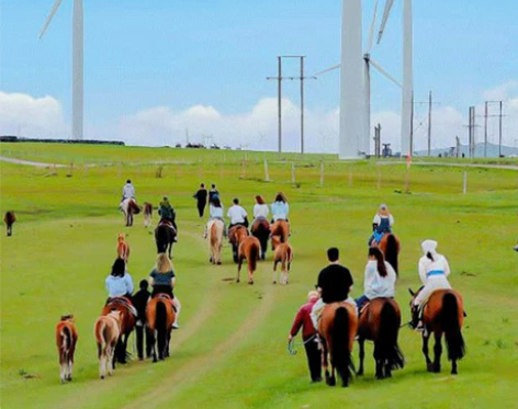 酒店内蒙古呼和浩特旅游希拉穆仁包头响沙湾5...