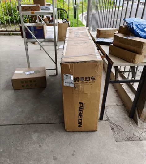 飞鸽电动车新国标48V轻便代步车男女士电动...