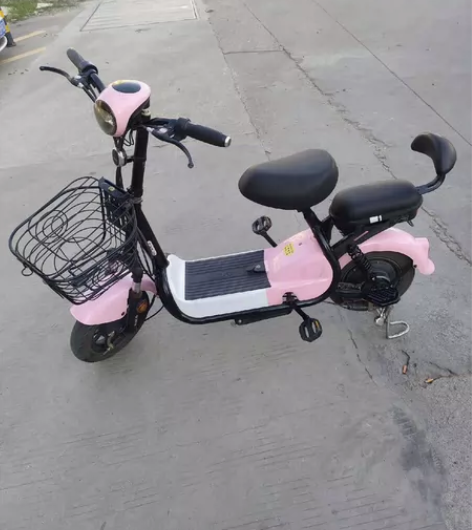 电动车 不在广州了急出一台私人电动车，台铃...