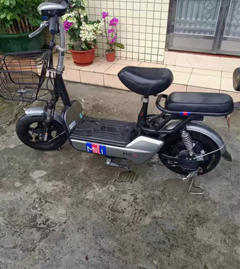 台铃电动车，上下班可骑，550不议价， 上...
