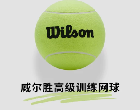 威尔胜网球 wilson训练器比赛用球散装...