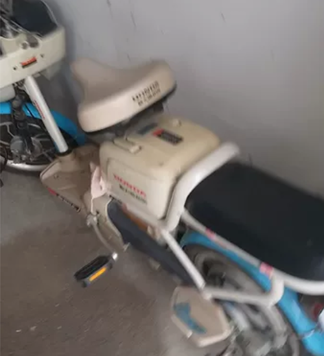 新大洲本田电动自行车，整年闲置不咋骑！荡了...