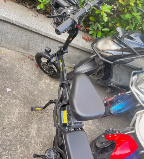 普莱德新国标折叠电动自行车 男女通用电瓶车...