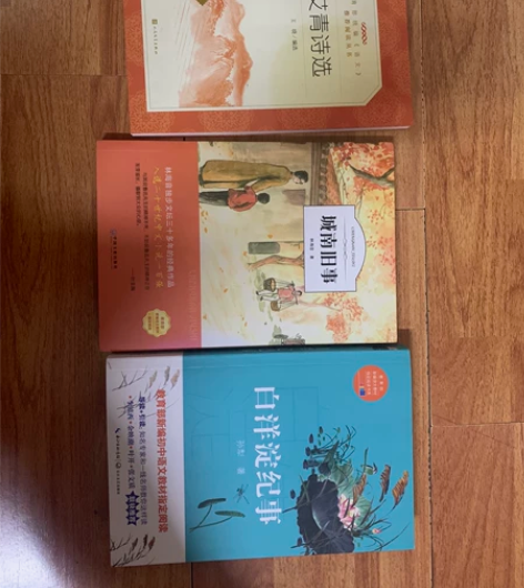 《艾青诗选》《城南旧事》《白洋淀纪事》初中...