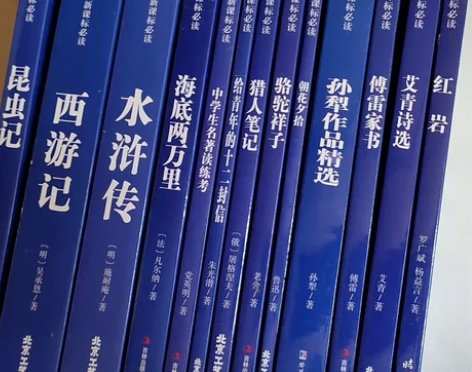 红岩红色经典名作共十三本 感兴趣的话点“我...