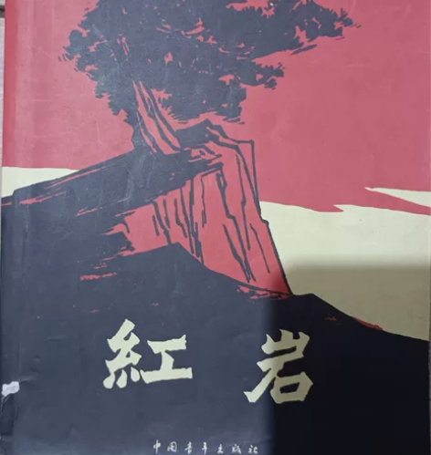 《红岩》 宁波市鄞州区下应街道  可自提轻...