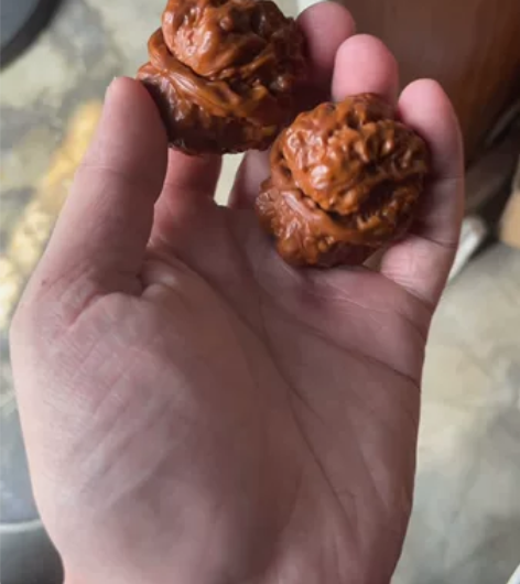回血蛤蟆头 边40肚46怀柔暴力肌肉蛙 骨...