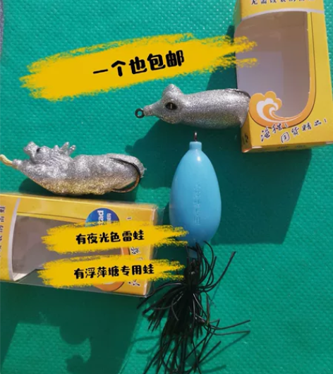 渔猎雷蛙鳄鱼蛙 浮萍塘专用雷蛙 龙柱雷蛙 ...