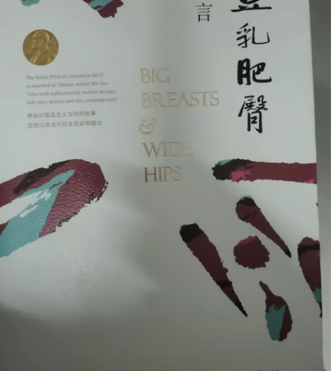 《丰乳肥臀》莫言 《你当像鸟飞往你的山》 ...