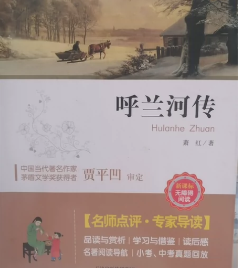 《呼兰河传 》99新 没看过 无翻越痕迹 ...