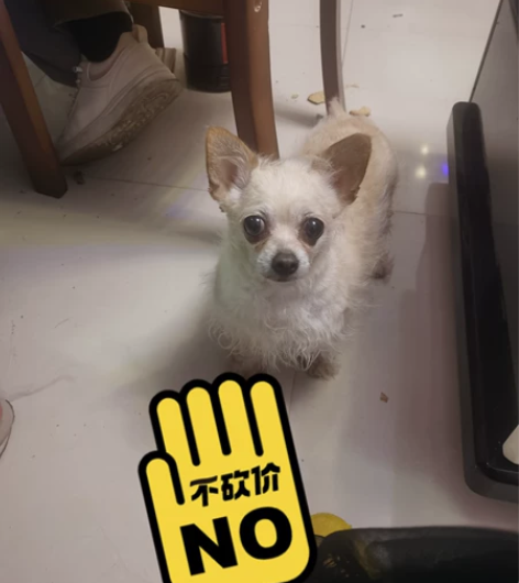 ps 教程教学， ps辅导简单入门，学会可...