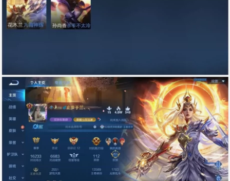 112英雄265皮肤贵族8，两个荣耀典藏，...