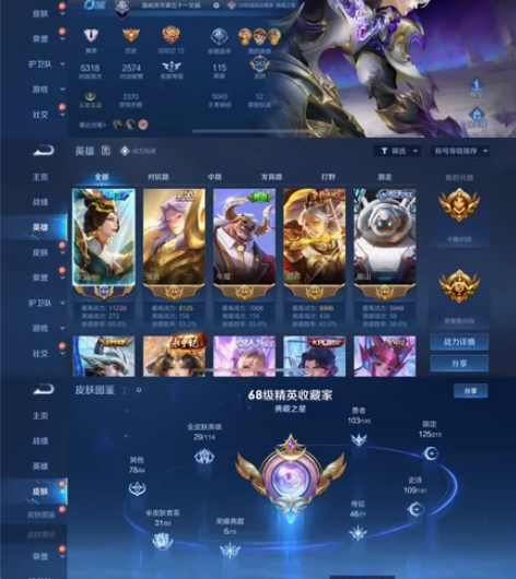 iOS苹果v区343皮肤v10 wzry租...