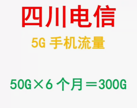 四川电信流量300G通用。 每月50G,共...