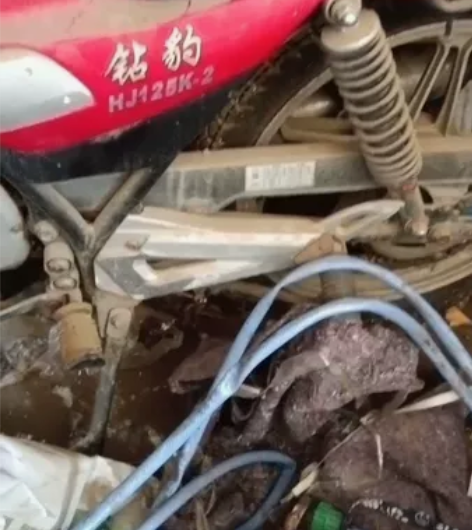 铃木老钻豹，能骑能跑。郯城李庄镇自提，外地...