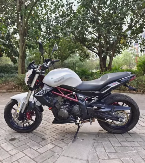 18年年底黄龙300欧版带APS 保险到明...