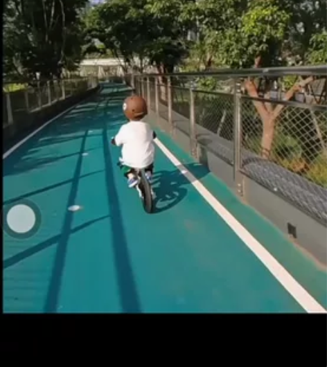 儿童滑步车平衡车 儿童单车 凤凰牌颜色银灰...