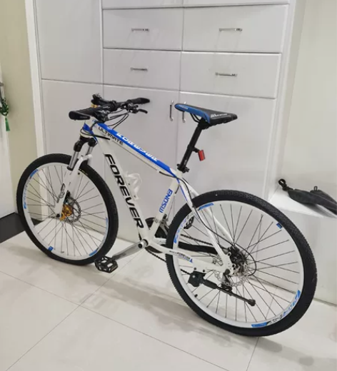 永久自行车，几乎全新，轻微使用痕迹，随缘出...