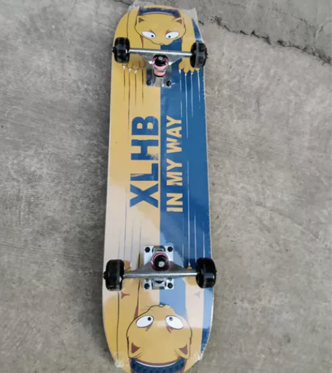 着急出 全新DBH 专业双翘滑板，一博同款...