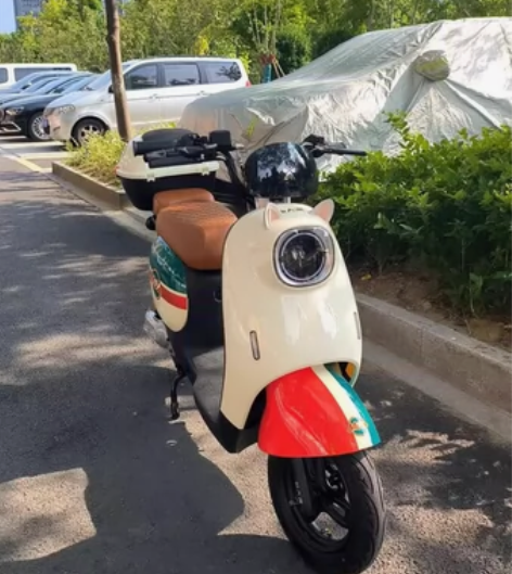 杭州同城转手新国标二手电瓶车，车子带黄牌正...